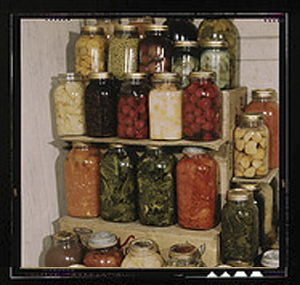 portfolio management